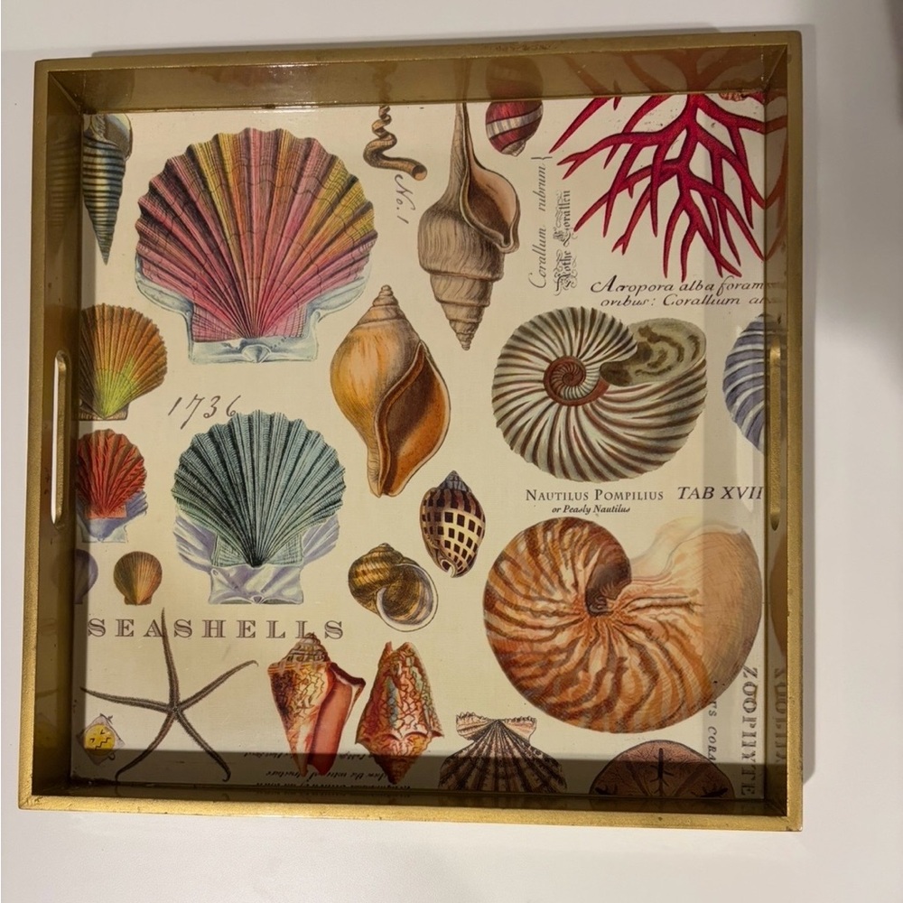 Seashell Print Decorative Tray - Coastal Shell Art
